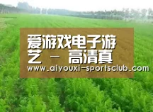 种植基地四