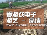 种植基地七(图1)