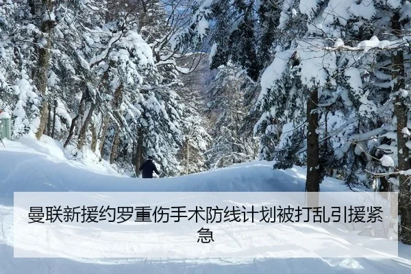 man-lian-xin-yuan-yue-luo-zhong-shang-shou-shu-fang-xian-ji-hua-bei-da-luan-yin-yuan-jin-ji-3-279.jpg